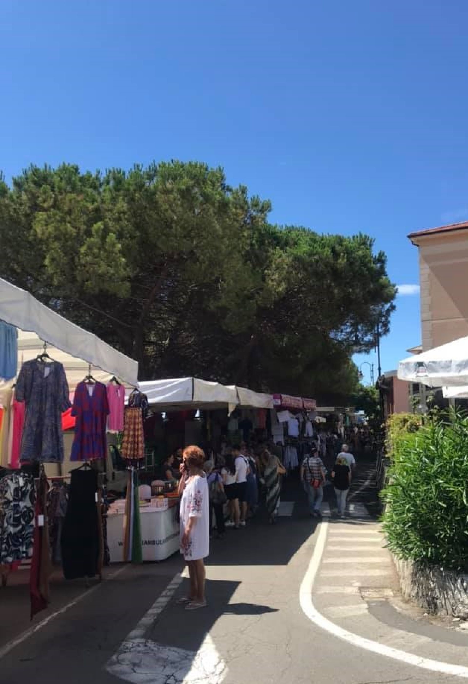 Foto  Fiera di San Giovanni